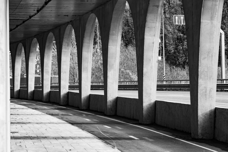 Фото проекта «Краснополянский терренкур» — МОА