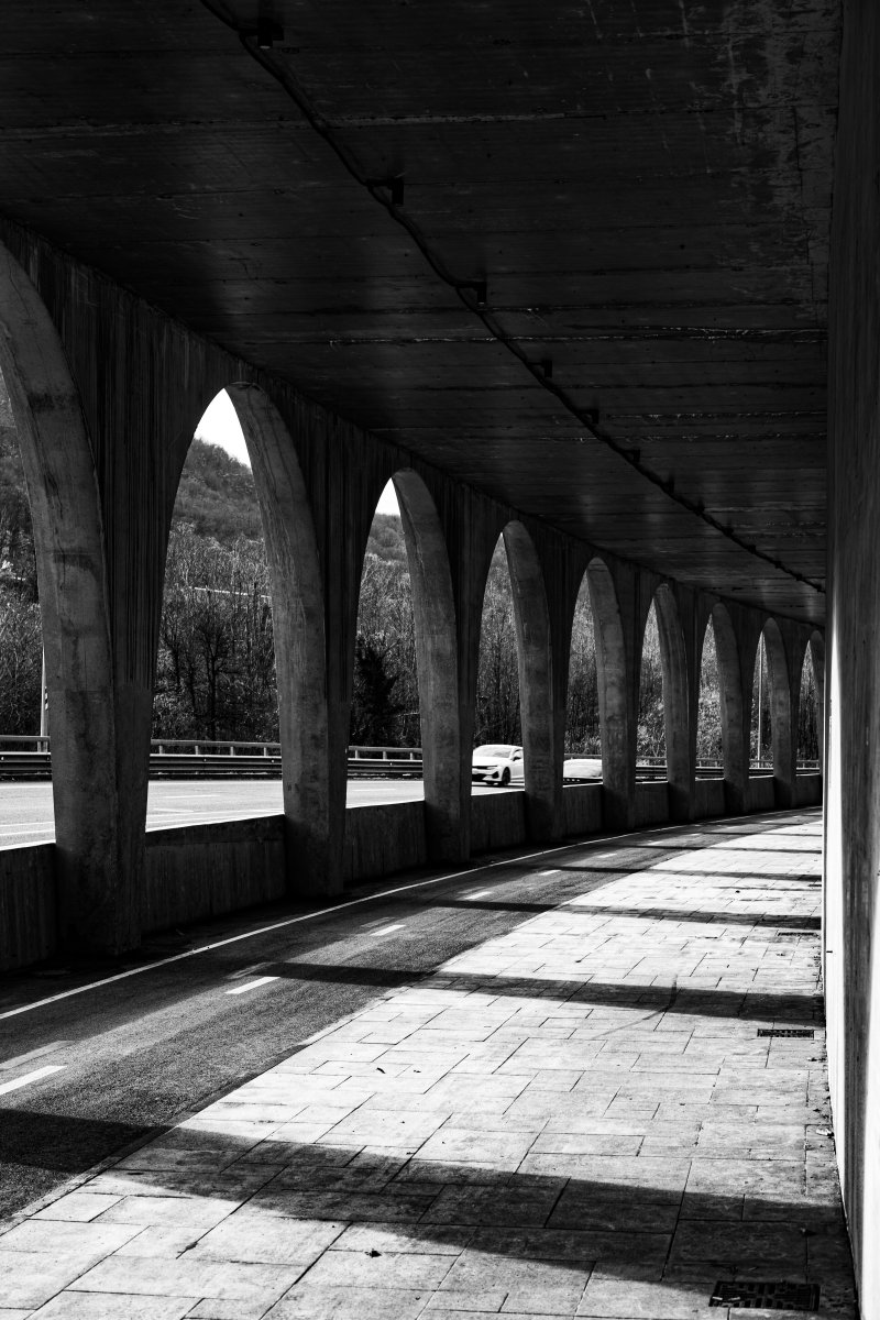 Архитектурный проект «Краснополянский терренкур» — МОА