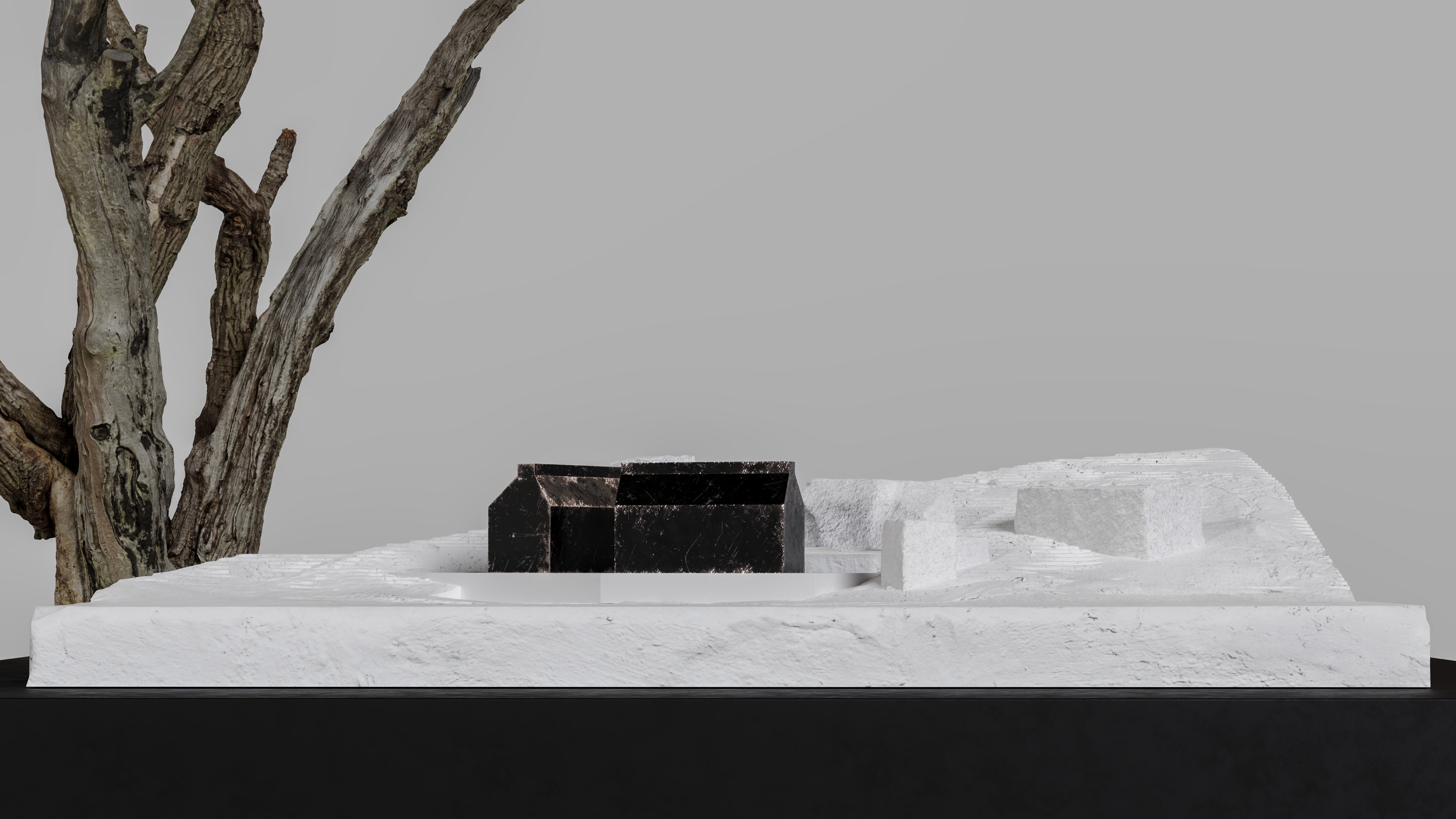 Фото проекта «Акмеизм» — МОА