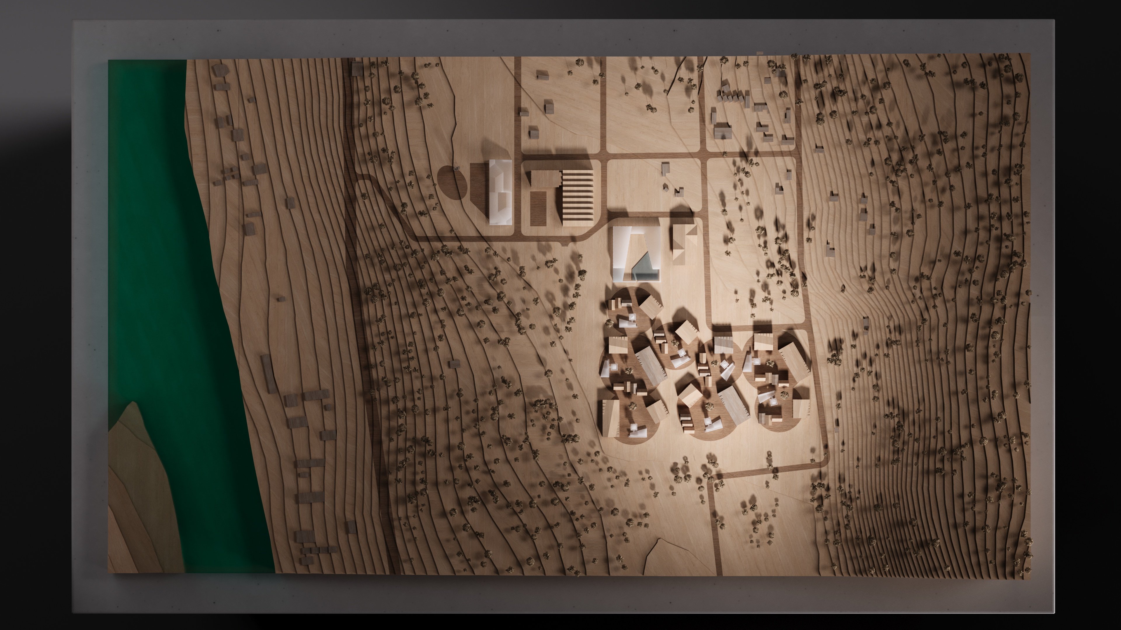 Фото проекта «Алтай IT» — МОА